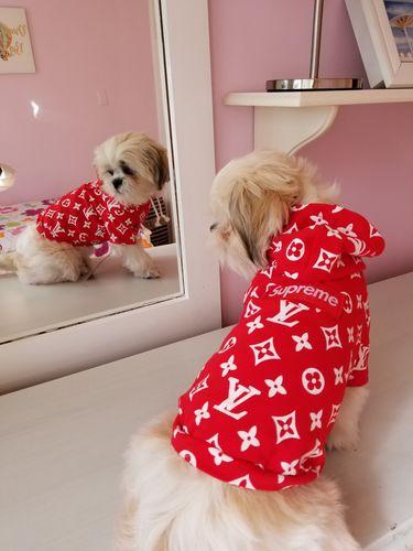 dog supreme lv hoodie